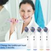 BELADENT Replacement Toothbrush Heads Ultra Clean for Oral-B (8 Pack) - Image 7